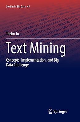 Kartonierter Einband Text Mining von Taeho Jo