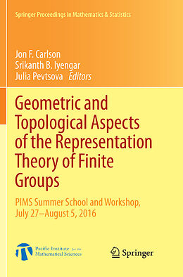 Kartonierter Einband Geometric and Topological Aspects of the Representation Theory of Finite Groups von 