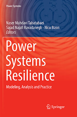 Kartonierter Einband Power Systems Resilience von 