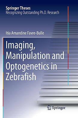 Kartonierter Einband Imaging, Manipulation and Optogenetics in Zebrafish von Itia Amandine Favre Bulle