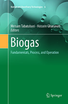 Kartonierter Einband Biogas von 