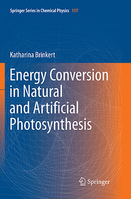 Kartonierter Einband Energy Conversion in Natural and Artificial Photosynthesis von Katharina Brinkert