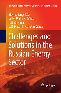 Couverture cartonnée Challenges and Solutions in the Russian Energy Sector de 