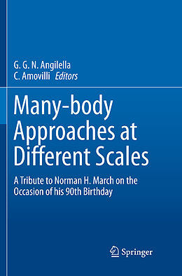 Couverture cartonnée Many-body Approaches at Different Scales de 