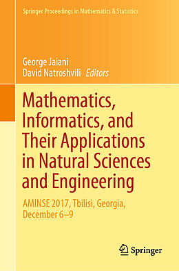 Fester Einband Mathematics, Informatics, and Their Applications in Natural Sciences and Engineering von 