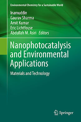 Fester Einband Nanophotocatalysis and Environmental Applications von 