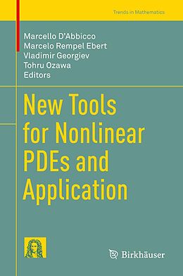 E-Book (pdf) New Tools for Nonlinear PDEs and Application von 