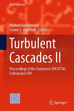 eBook (pdf) Turbulent Cascades II de 