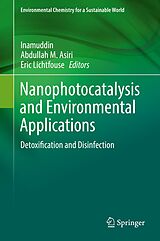 eBook (pdf) Nanophotocatalysis and Environmental Applications de 