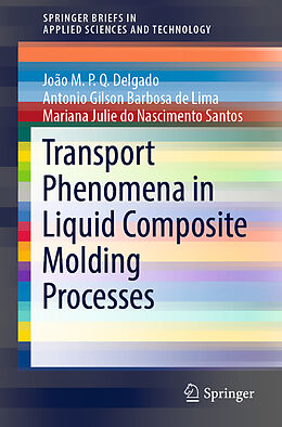 E-Book (pdf) Transport Phenomena in Liquid Composite Molding Processes von João M. P. Q. Delgado, Antonio Gilson Barbosa de Lima, Mariana Julie Do Nascimento Santos