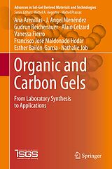 eBook (pdf) Organic and Carbon Gels de Ana Arenillas, J. Angel Menéndez, Gudrun Reichenauer