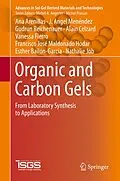 E-Book (pdf) Organic and Carbon Gels von Ana Arenillas, J. Angel Menéndez, Gudrun Reichenauer