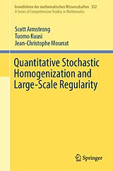 eBook (pdf) Quantitative Stochastic Homogenization and Large-Scale Regularity de Scott Armstrong, Tuomo Kuusi, Jean-Christophe Mourrat