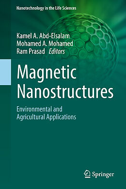Fester Einband Magnetic Nanostructures von 