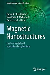 eBook (pdf) Magnetic Nanostructures de 