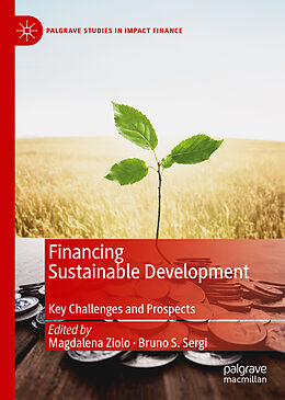 Livre Relié Financing Sustainable Development de 