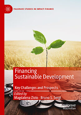 Couverture cartonnée Financing Sustainable Development de 