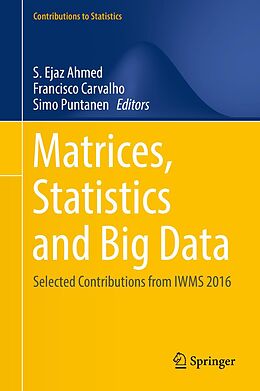 eBook (pdf) Matrices, Statistics and Big Data de 