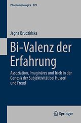 E-Book (pdf) Bi-Valenz der Erfahrung von Jagna Brudziska