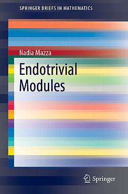 Kartonierter Einband Endotrivial Modules von Nadia Mazza
