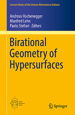 Kartonierter Einband Birational Geometry of Hypersurfaces von 
