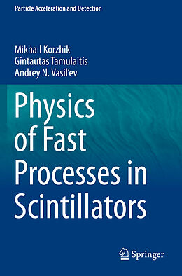 Kartonierter Einband Physics of Fast Processes in Scintillators von Mikhail Korzhik, Andrey N. Vasil'ev, Gintautas Tamulaitis