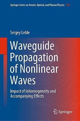 E-Book (pdf) Waveguide Propagation of Nonlinear Waves von Sergey Leble
