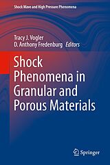 eBook (pdf) Shock Phenomena in Granular and Porous Materials de 