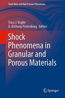 eBook (pdf) Shock Phenomena in Granular and Porous Materials de 