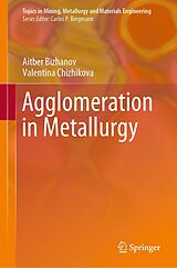 eBook (pdf) Agglomeration in Metallurgy de Aitber Bizhanov, Valentina Chizhikova