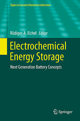 Fester Einband Electrochemical Energy Storage von 