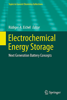 Livre Relié Electrochemical Energy Storage de 