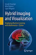 E-Book (pdf) Hybrid Imaging and Visualization von Joseph Awange, Béla Paláncz, Lajos Völgyesi