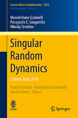 Kartonierter Einband Singular Random Dynamics von Massimiliano Gubinelli, Panagiotis E. Souganidis, Nikolay Tzvetkov