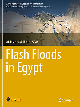 Kartonierter Einband Flash Floods in Egypt von 