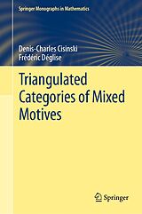 eBook (pdf) Triangulated Categories of Mixed Motives de Denis-Charles Cisinski, Frédéric Déglise