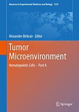 eBook (pdf) Tumor Microenvironment de 