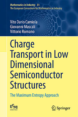 eBook (pdf) Charge Transport in Low Dimensional Semiconductor Structures de Vito Dario Camiola, Giovanni Mascali, Vittorio Romano