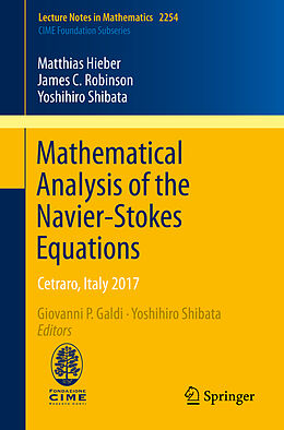 Kartonierter Einband Mathematical Analysis of the Navier-Stokes Equations von Matthias Hieber, James C. Robinson, Yoshihiro Shibata