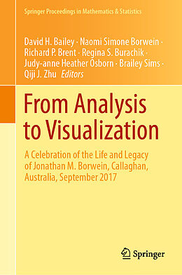 E-Book (pdf) From Analysis to Visualization von 