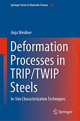 eBook (pdf) Deformation Processes in TRIP/TWIP Steels de Anja Weidner