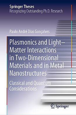 Fester Einband Plasmonics and Light Matter Interactions in Two-Dimensional Materials and in Metal Nanostructures von Paulo André Dias Gonçalves