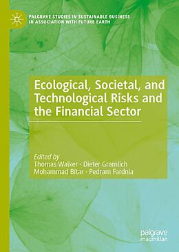 eBook (pdf) Ecological, Societal, and Technological Risks and the Financial Sector de 