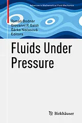 E-Book (pdf) Fluids Under Pressure von 