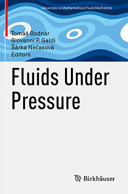 Kartonierter Einband Fluids Under Pressure von 