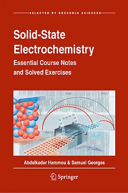 E-Book (pdf) Solid-State Electrochemistry von Abdelkader Hammou, Samuel Georges