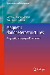 eBook (pdf) Magnetic Nanoheterostructures de 