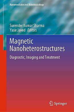 E-Book (pdf) Magnetic Nanoheterostructures von 