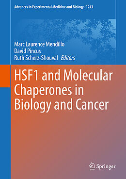 Fester Einband HSF1 and Molecular Chaperones in Biology and Cancer von 