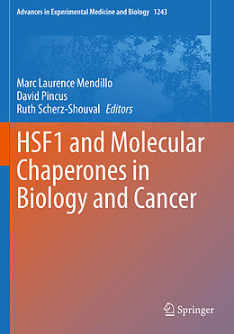 Kartonierter Einband HSF1 and Molecular Chaperones in Biology and Cancer von 